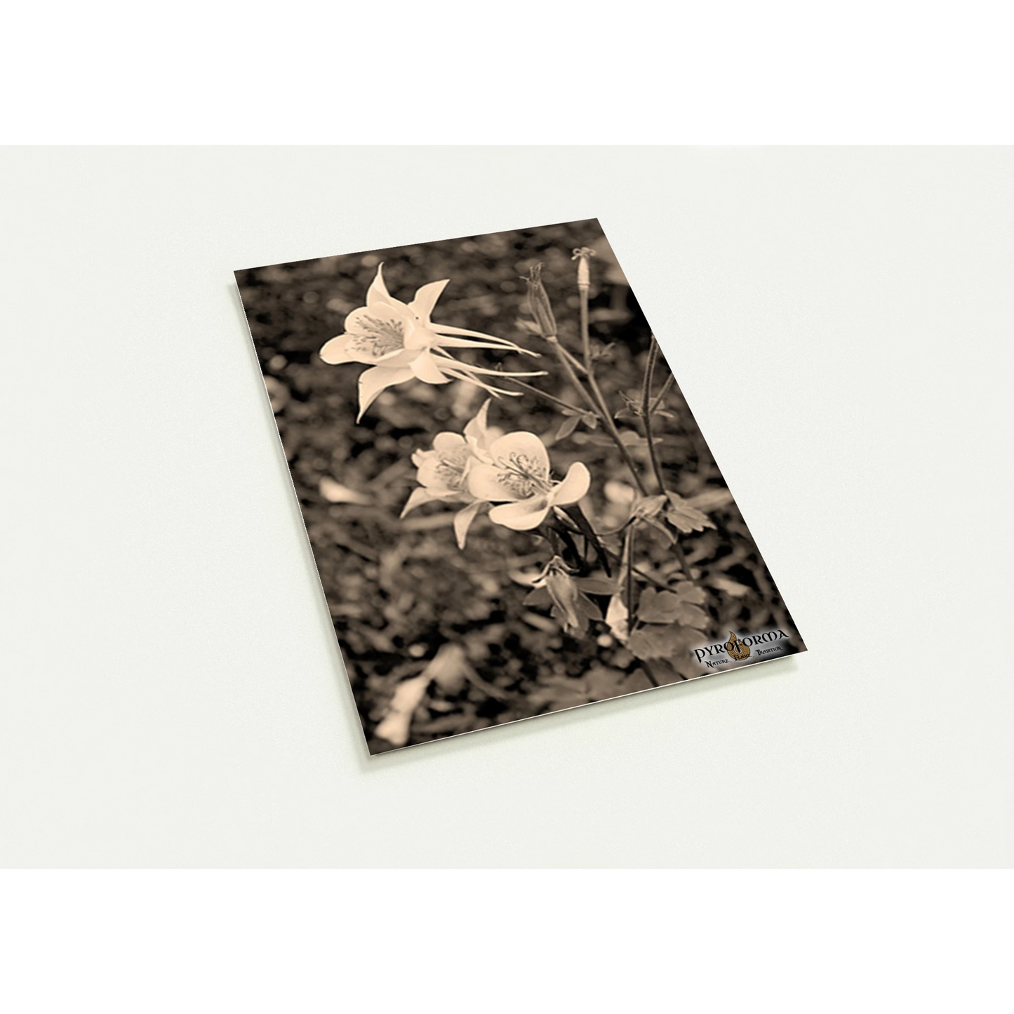 d4b52cfc-9409-47cc-a7f9-24b86c330636
